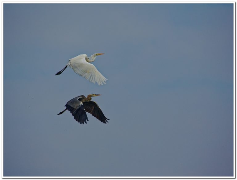 7J9A6653_DxO-2